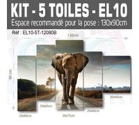 150x100cm- Kit 5 Dipinti Stampa Quadro Decorazione - Elefante EL10-5T150100A -
