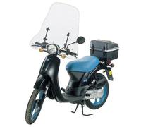 1511/A FABBRI Parabrezza + Attacchi per Honda SKY 50 DX 1997 1998 1999 2000
