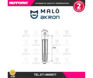 1520120 Filtro carburante adatto a Bmw-Mini (MARCA-MALO').