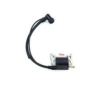 152F 154F Bobina di accensione Pacchetto ad alta tensione Generatore a benzina Parte(152F)