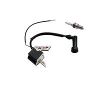 152F 154F Bobina di accensione Pacchetto ad alta tensione Generatore a benzina Parte(154F)