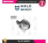 1570017 Tendicinghia, Cinghia Poly-V (MARCA-MALO').