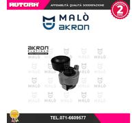 1570427 Tendicinghia, Cinghia Poly-V (MARCA-MALO').