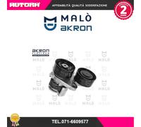 1570473 Tendicinghia, Cinghia Poly-V (MARCA-MALO').