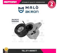 1570573 Tendicinghia, Cinghia Poly-V (MALO').