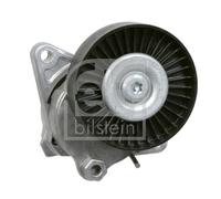 15875 FEBI BILSTEIN Tendicinghia, Cinghia Poly-V per CHRYSLER,MERCEDES-BENZ