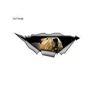 15cmx6cm Beaver Car Stickers Decal Adesivi modificati creativi Impermeabile 3D Car Styling Animal