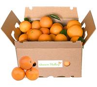 15KG NARANJAS DE MESA NAVEL LANE