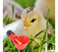 15PCS Bevitore automatico di pollo Pollame Ciotola di acqua potabile Quaglia