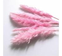 15pcs Naturale Secchi Piccolo Pampas Erba Coniglio Coda Fiore Nozze Bouquet