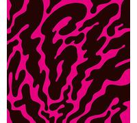 Phantom Limb - 16-17 (Vinile)