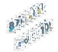 16 carte unisex per le foto delle tappe più importanti - le carte segna tappe del tuo bebè per feste di nascita (689-B)
