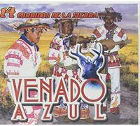 16 Corridos De La Sierra