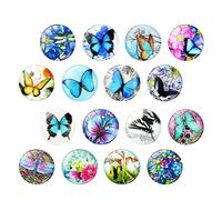 16 Pcs Calamite Per Frigorifero Decorazione Del Refrigerator Magnet