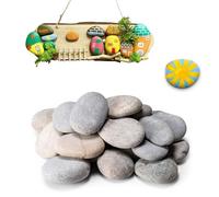 16 Pezzi Pietre Piatte da Dipingere, Dipingere i Ciottoli, Pietre Piatte Per La Pittura, Rocce Naturali di Disegno, Sassi da Dipingere, per Pittura Fai da Te, Decorative per Acquario e Giardino