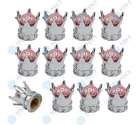 16 Pezzo You.S Corone Cappuccio Valvola + Rosa Perla Finitura Cromata + Tenuta