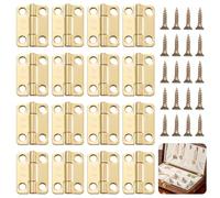 16 piccole cerniere in acciaio inox, per scatole di legno, con 66 viti, preforate e ideali per vari progetti di qualità e antiruggine, mini