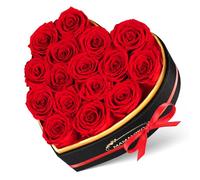 16 Rosa Stabilizzata Vera in Forma Cuore,Rosa Eterna Regalo per Lei Donna Fidanzata Mamma Ragazza,Fiori Stabilizzati Regali San Valentino,Compleanno,Festa Della Mamma,Anniversario(Rosse)