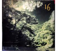 16 TAMBOURINES - HOW GREEN IS YOUR VALLEY LP (VINYL) GERMAN ARISTA 1989