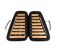 16 tasti Glockenspiel Piastra in alluminio xilofono 16 note Strumento musicale educativo precoce a percussione con custodia mazze per bambini Sviluppo musicale dei sensi