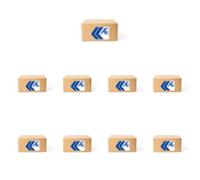 16 x Leva valvola AE per CITRON, FIAT, FORD, PEUGEOT BOXER, DUCATO