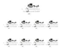 16 x Leva valvola KOLBENSCHMIDT per AUDI, SEAT, SKODA, VW A1, A3, A3 8P