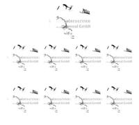 16 x Leva valvola KOLBENSCHMIDT per BMW 1 E81, 1 E82, 1 E87, 1 E88, 3
