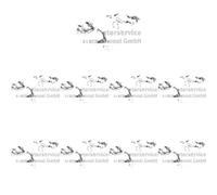16 x Leva valvola KOLBENSCHMIDT per DACIA, NISSAN, OPEL, RENAULT