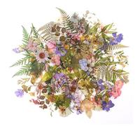 160 Adesivi Naturali Pre-tagliati per Scrapbooking - Motivi Floreali e Botanici per DIY, Agende, Diari, Decorazioni Creative. Perfetti per Personalizzare: Quaderni, Computer Portatili, Cellulari