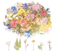 160 Pezzi Adesivi Floreali Trasparenti Scrapbooking Adesivi Vegetali Naturali Adesivi Vintage Adesivi Floreali Colorati per Artigianato Fai-da-te Album Fotografico Taccuino Telefono