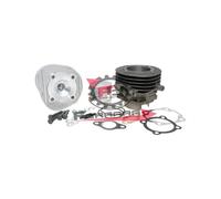 161.1400056 KIT CILINDRO VESPA 50 D.55 POLINI 6 TRAVASI SPINOTTO D.12 APE 50