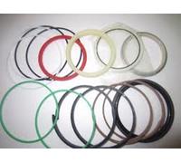 161913A1 KIT GUARNIZIONI CILINDRO BRACCIO ADATTO PER CASE 9020B