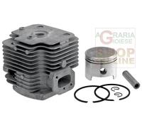 16416 KIT CILINDRO PISTONE PER SOFFIATORE ATOMIZZATORE KASEI