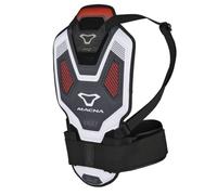 1659114 PARASCHIENA MACNA VAULT