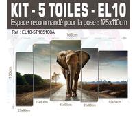 165x100cm- Kit 5 Dipinti Stampa Quadro Decorazione - Elefante EL10BW-5T165100A