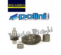 16703 - INGRANAGGI POLINI SECONDARI Z 15/42 APRILIA 50 AREA 51 SR STEALTH WWW