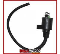 168191 BOBINA AT ESTERNA GARELLI BT125T-2 Tiger 125CC 2007/2008