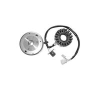 168555 VOLANO ROTORE STATORE COMPLETO SUZUKI UE 125CC 2001/2002