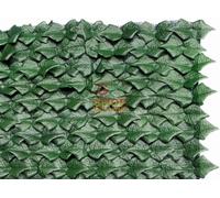16947 ARELLE SIEPE SEMPREVERDE EDERA MT. 1,5X3