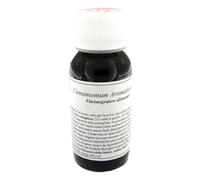16S CINNAMOMUM AROMATICUM COMP