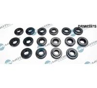 DR.MOTOR AUTOMOTIVE Guarnizione Bulloni copritestata DRM0397S per BMW X5 (E53)