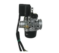 17,5 Mm Per Piaggio NRG50 Per Typoon50 XR Per Vespa LX50 Per Per Per Storm 50 Con E-Choke Carburatore Runner Kit Riparazione Carburatore