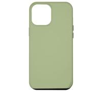 17 Color Green-Sage Custodia per iPhone 12 Pro Max