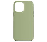 17 Color Green-Sage Custodia per iPhone 13 Pro Max