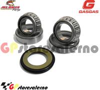 17083 KIT CUSCINETTI STERZO ALL BALLS RACING GAS GAS 250 EC 2008