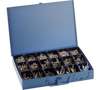 17166 Assortimento di viti combinate 2110 Parti