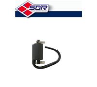 Sgr 12v 3.5ohm 2 Fastons Wire Ignition Coil 20cm Oro