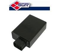 Sgr 12v/cc 4174448 Ecu Kit Oro