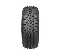 Taurus 601 Winter 175/65R14 82T 3PMSF