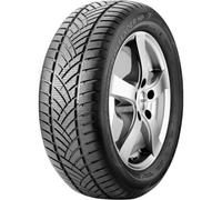 Leao Winter Defender HP ( 175/70 R14 84T )